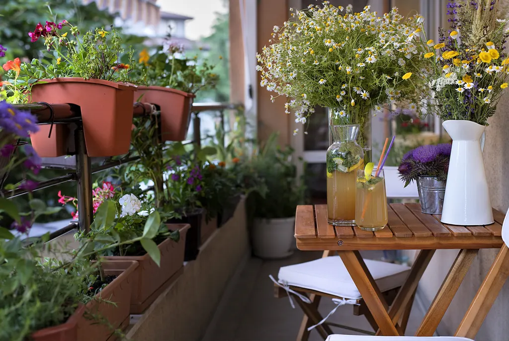 ¿Qué plantas para decorar su balcón?